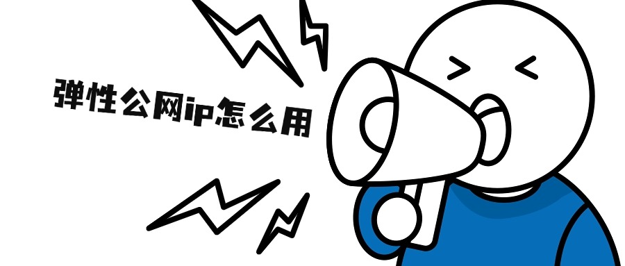 新手用户指南：弹性公网ip怎么用