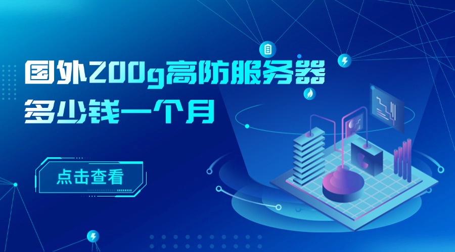 国外200g高防服务器多少钱一个月？