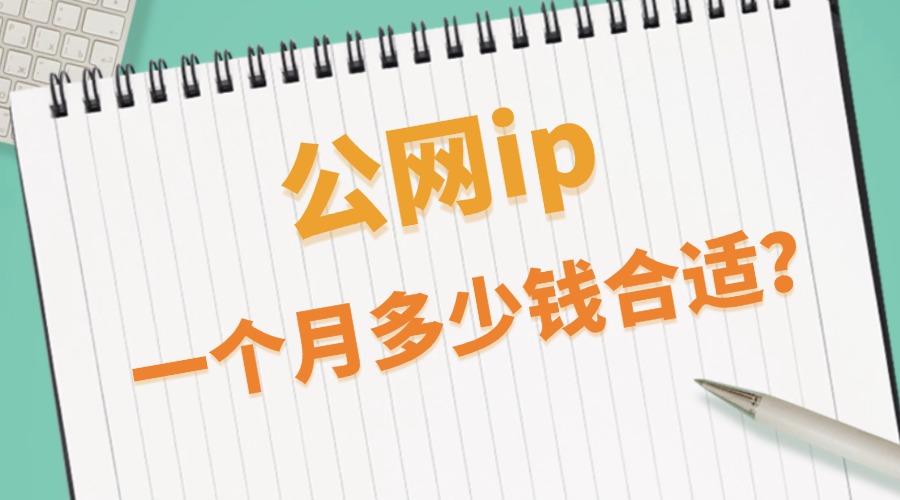 公网ip一个月多少钱合适?