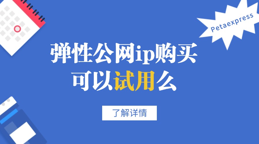 弹性公网ip购买可以试用么？