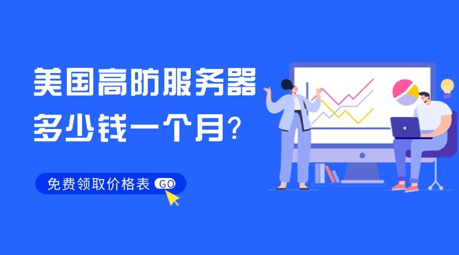美国高防服务器多少钱一个月？