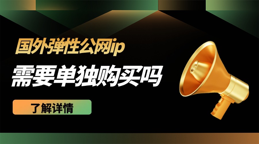 国外弹性公网ip需要单独购买吗？