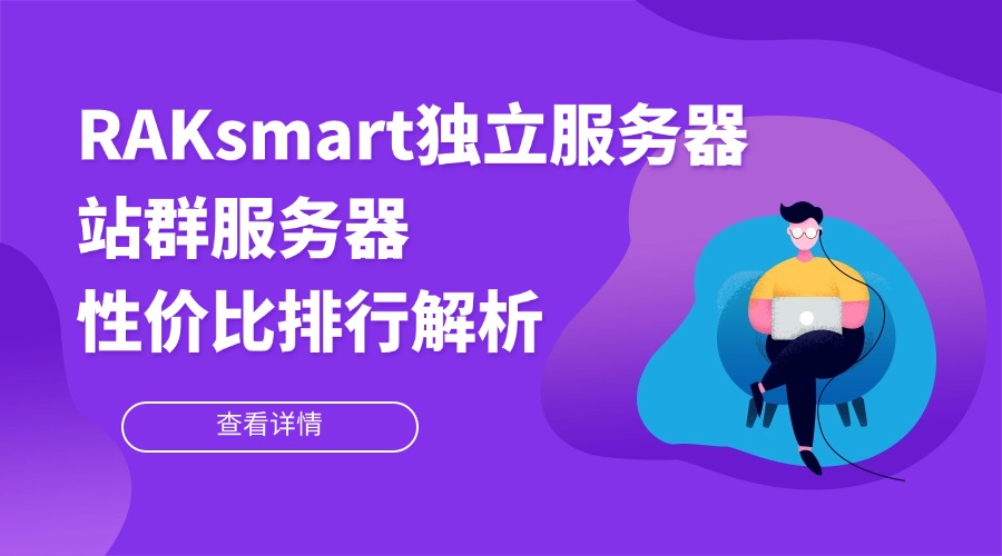RAKsmart独立服务器/站群服务器性价比排行解析